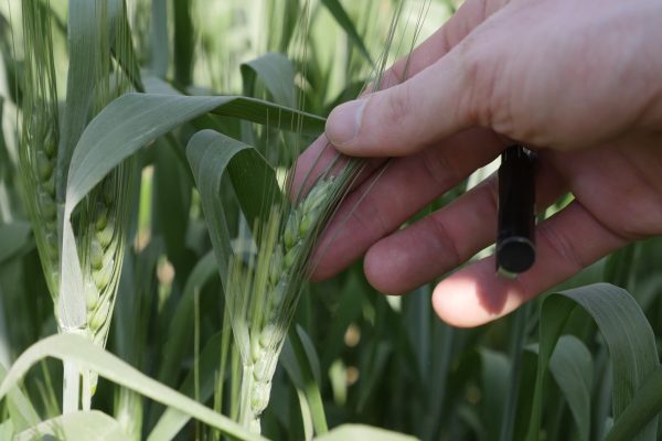 Adaptive-Symbiotic-Technologies-Photos_021