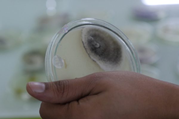 Adaptive-Symbiotic-Technologies-Photos_028