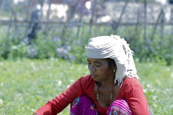 Gham Power (1) Gham Power (1)