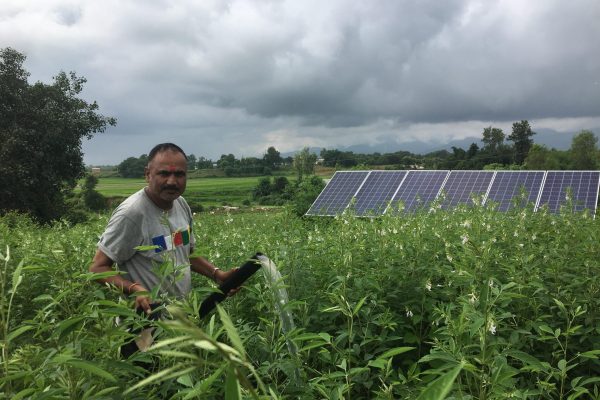 Gham Power (2) Gham Power (2)