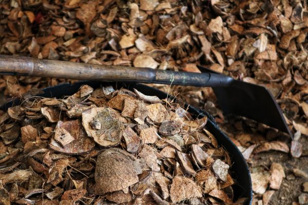 Khmer Green Charcoal (1) Khmer Green Charcoal (1)