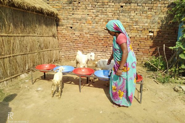 Demonstration Farm 2