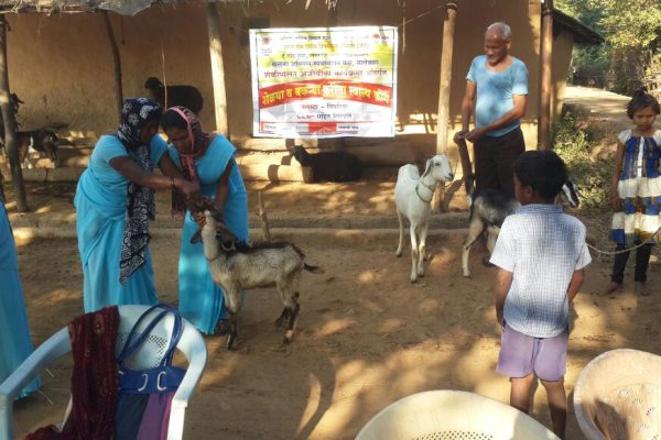 Livestock Health Camp 2