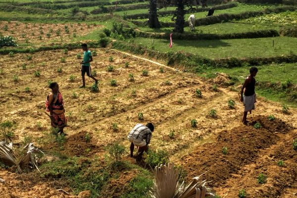 ONergy (4) ONergy (4)