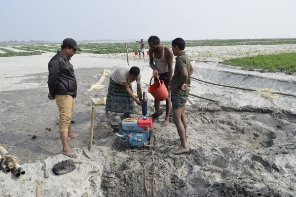 Pumpkin Plus (11) Pumpkin Plus (11)