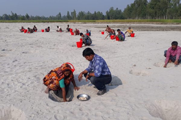 Pumpkin Plus (14) Pumpkin Plus (14)