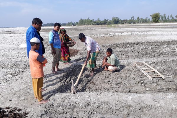 Pumpkin Plus (34) Pumpkin Plus (34)