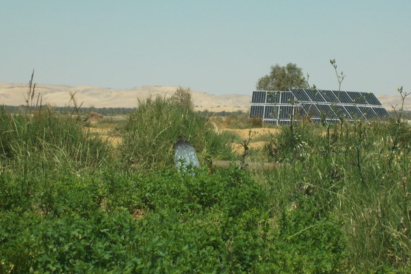 Screen Shot 2021-05-03 at 7.13.31 PM