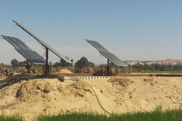 Screen Shot 2021-05-03 at 7.13.40 PM