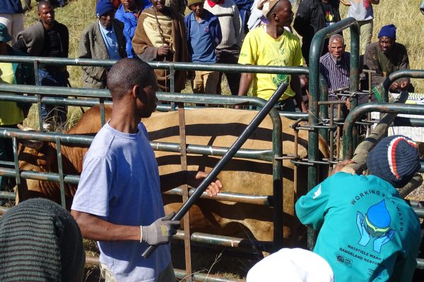 Conservation South Africa_2