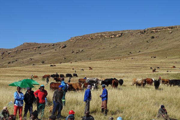 Conservation South Africa_3