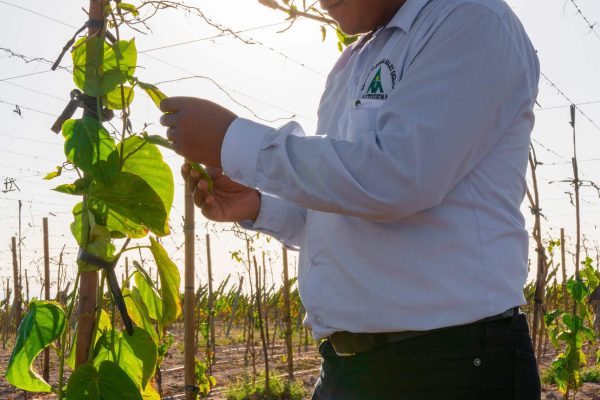 CR_ICUPeru_hanzplengephoto_04-scaled