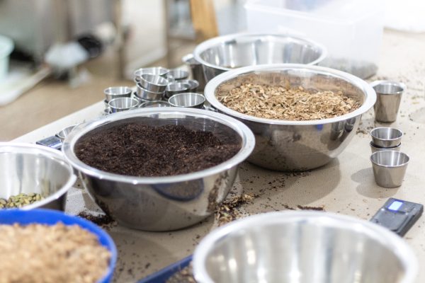 giz-fwoywod_IMG_4850-11