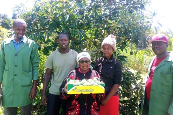 Farmer photo of FLOs