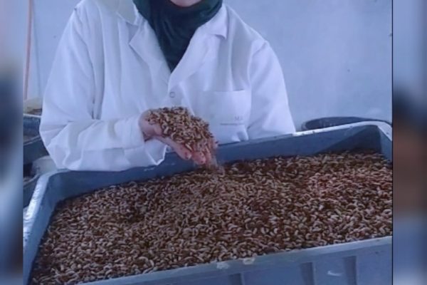 WhatsApp Image 2022-04-28 at 11.45.51 PM