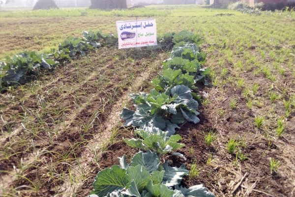 WhatsApp Image 2022-04-28 at 11.45.54 PM