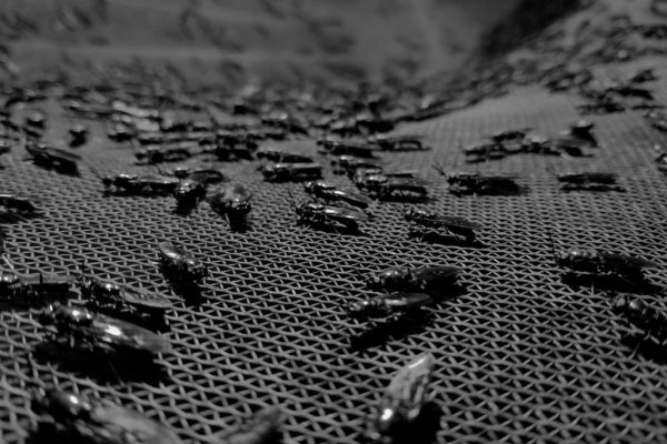 WhatsApp Image 2024-01-05 at 9.12.24 AM (1)