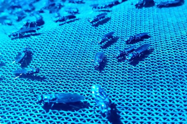 WhatsApp Image 2024-01-05 at 9.12.24 AM (2)