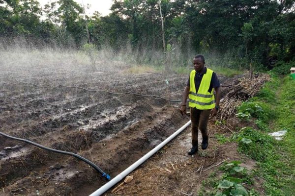 388ba8f8405dbbcd81b29b80aa349768