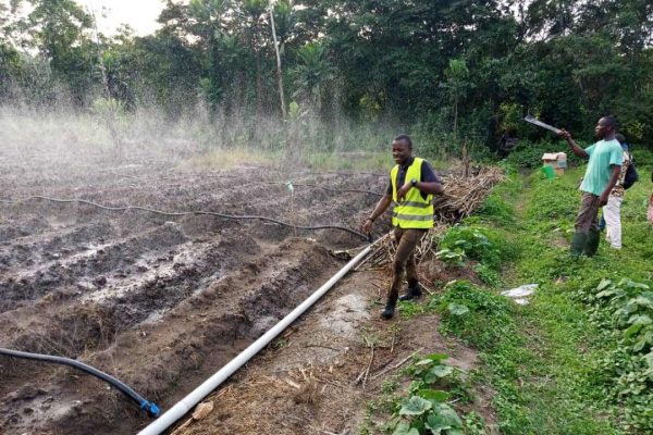 994c710b80ed446212324555fcf0d5b5