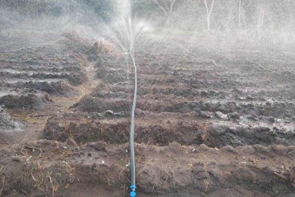 f728a3ce5bde82f6a810ffd7ca738a8e