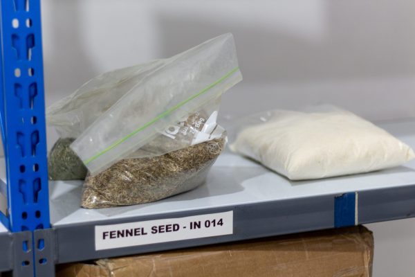 giz-fwoywod_IMG_4830-4