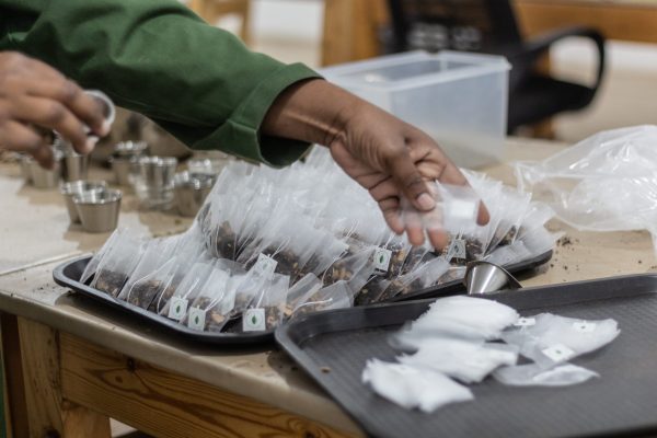 giz-fwoywod_IMG_4846-10