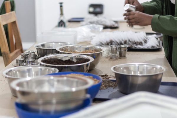 giz-fwoywod_IMG_4855-13