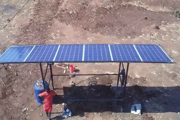 WhatsApp Image 2023-01-12 at 10.50.50 AM-1