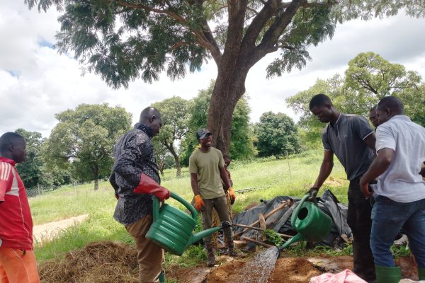 MicrosoftTeams-image (21)