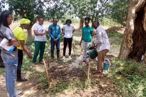 MicrosoftTeams-image (24)