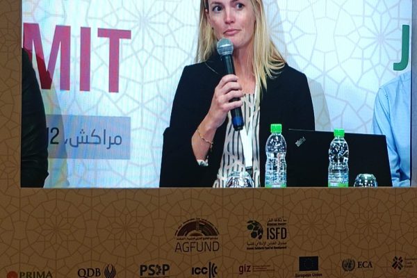 a7794433-2992-49fa-b7dd-860407b0813f 2