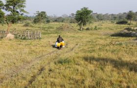 Benjamin Kateregga (farmer and member of Kaseeta Dairy Corporative) transporting milk on his motorcycle to Kaseeta farmers' Dairy at Kaseeta village in Kyankwanzi District, on 2 February 2023.. Farmers bought motorcycles from the Emata loans to ease transportation of milk to the dairy.