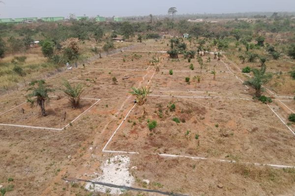 WhatsApp Image 2024-03-01 at 04.15.28