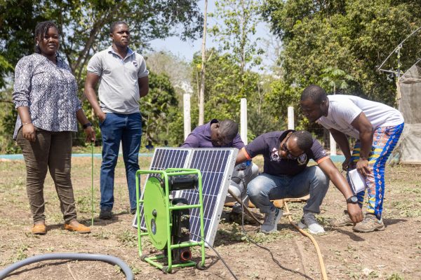 MicrosoftTeams-image (33)