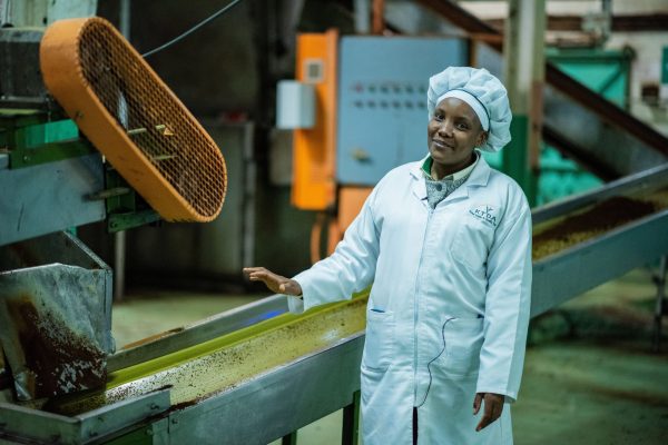 Rose Mugo explaining the process of tea production  at CBES