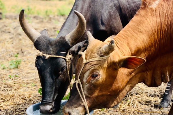 WhatsApp_Image_2022-04-04_at_2.33.14_PM