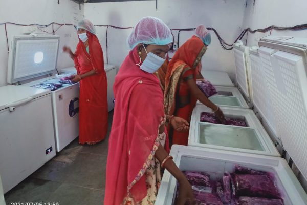 PHOTO-2023-01-10-12-22-03