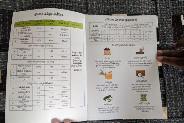 PXL_20240611_052240374