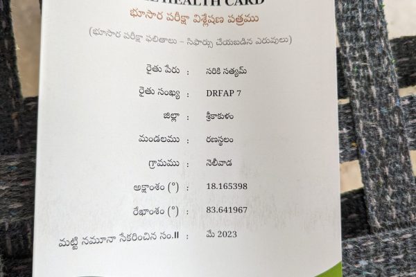 PXL_20240611_052247193