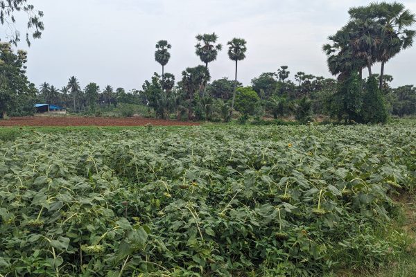 PXL_20240611_103847384