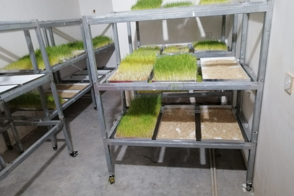 Untitled design (13)