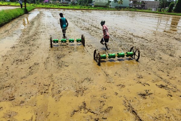 WhatsApp Image 2024-01-31 at 6.10.44 PM