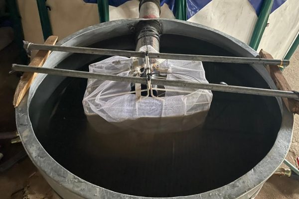 WhatsApp Image 2024-03-26 at 20.57.49 (1)