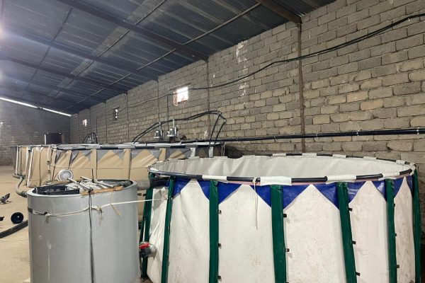 WhatsApp Image 2024-03-26 at 20.57.49